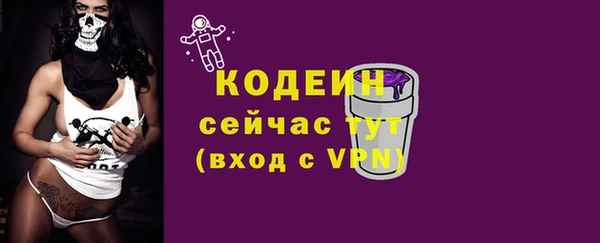 индика Вязьма