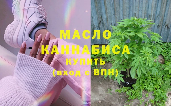 индика Вязьма